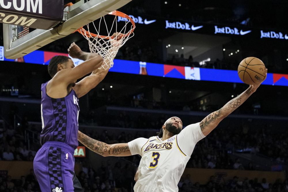 训练营根据 训练营根据